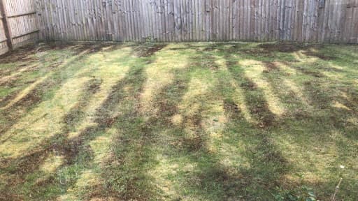 Deep Green Lawns — Customer photo