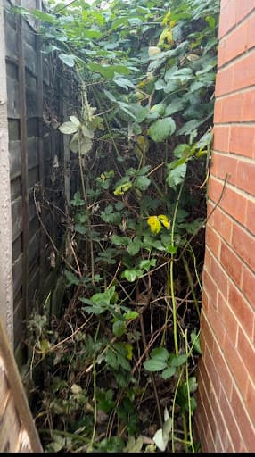 CleanCuts Lawn Kings • Gardeners Manchester — Customer photo