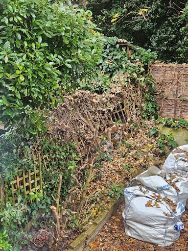 Terra Firma Landscapes London Ltd — Customer photo