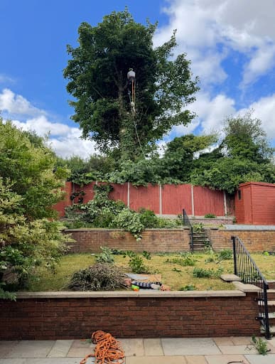 Freemans Tree Care Specialist — Customer photo