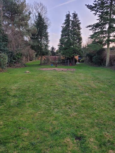Yorkshire Tree Surgery — Customer photo