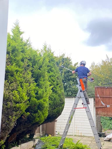 Down to Earth Tree Services — Customer photo