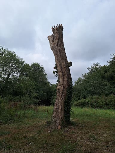 Samuel George Tree Services — Customer photo