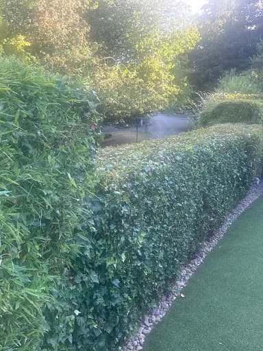 iGreen Garden Care — Customer photo
