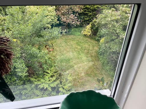 Julian Garden Maintenance — Customer photo