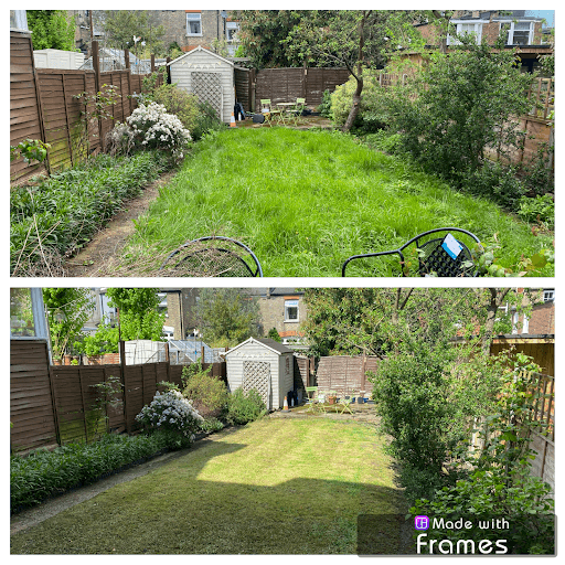 Garden Services London Green — Customer photo