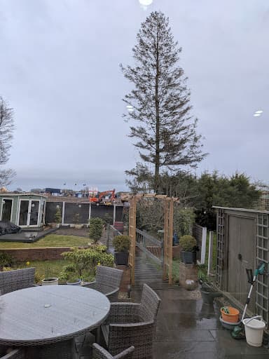 Arboré Tree Services — Customer photo