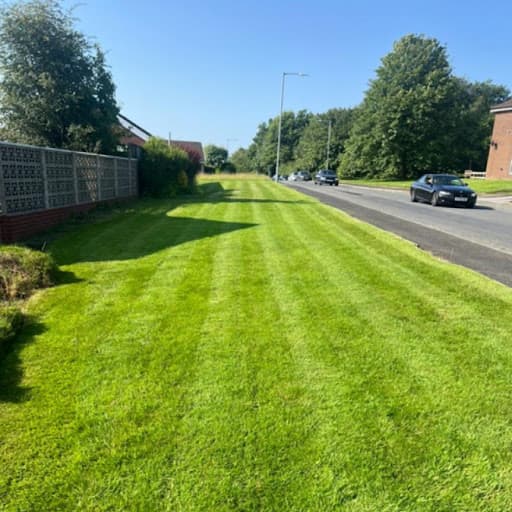 SM Garden Maintenance — Customer photo