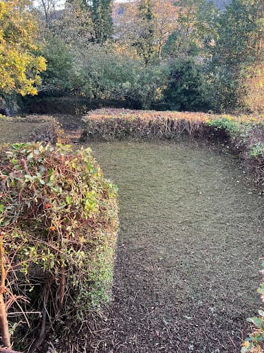 Waterlillie Clark Ltd — Customer photo