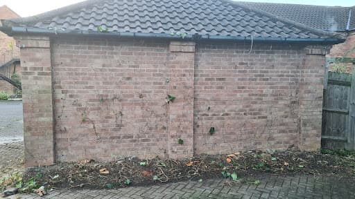 Kyle's gardens — Customer photo