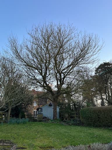 Crossbrook Tree Care Ltd — Customer photo