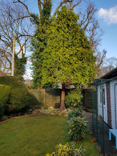 Manchester trees and landscapes ltd — Customer photo