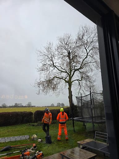 Thompson Tree Northants — Customer photo