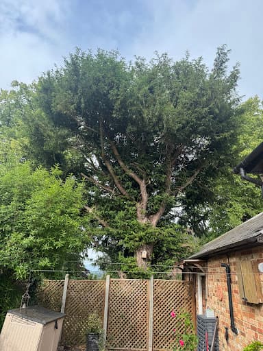 Browns Tree Solutions Ltd — Customer photo