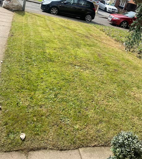 Cut My Garden — Customer photo