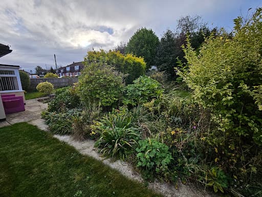 Cotswold Tree Surgeons Ltd — Customer photo