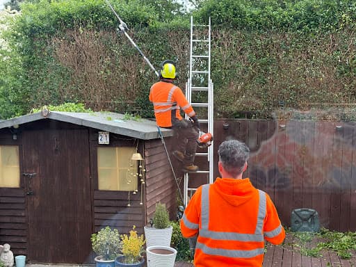 Deluxe Tree Surgeons Ltd — Customer photo