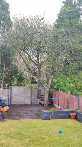J and Son Trees and Landscapes — Customer photo