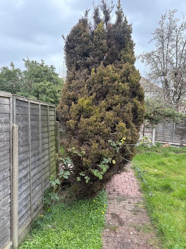 The Gardener — Customer photo