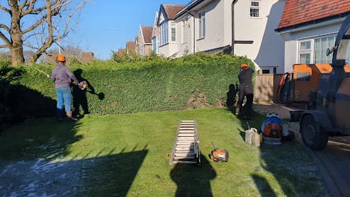 STOKE TREE SURGEON — Customer photo