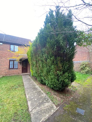 Fosters Tree Surgeons Ltd — Customer photo