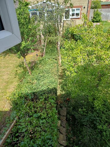 David Goodwin landscaping & tree care. — Customer photo