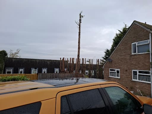 TreeScape Oxford Limited — Customer photo