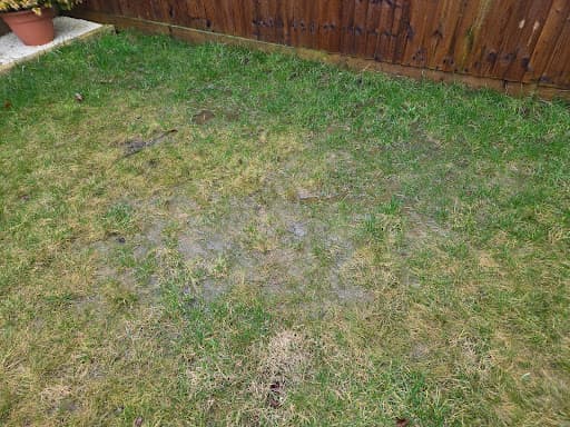 Golden Gardens & Building Ltd — Customer photo
