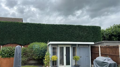 Joe Rice Tree Services — Customer photo