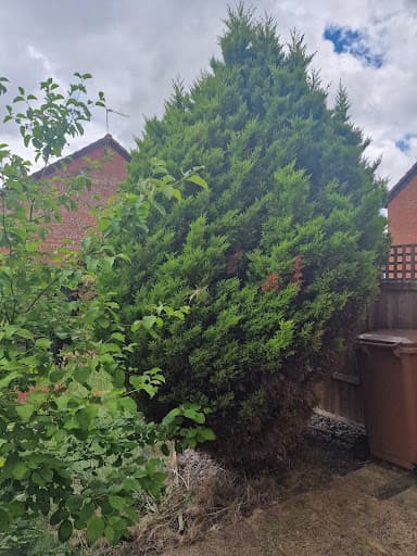 Crossbrook Tree Care Ltd — Customer photo