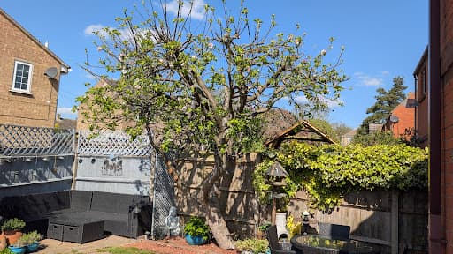 Jarrett's Tree and Garden Services — Customer photo
