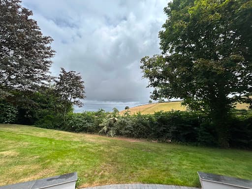 The Tree Surgery Company Ltd — Customer photo