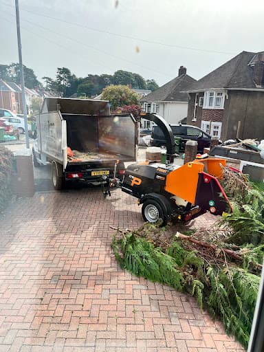 Tree Squadron - Cardiff Tree Surgeon — Customer photo