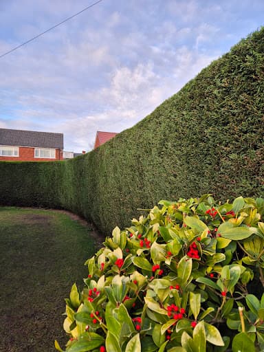 Small’s Tree Surgery Ltd — Customer photo