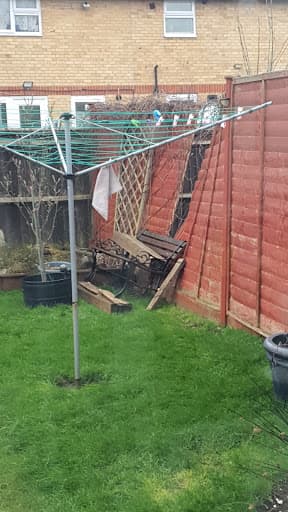 GPB Trees & Landscapes — Customer photo