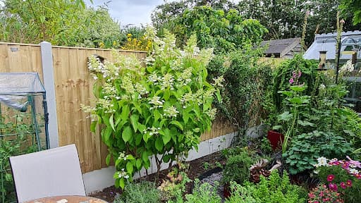 Paul Cox Landscaping — Customer photo