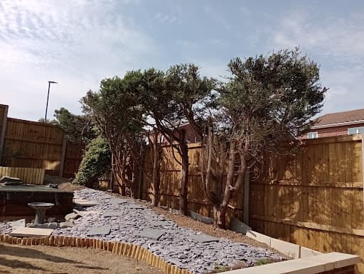 G M Frazer Tree Surgery Ltd — Customer photo