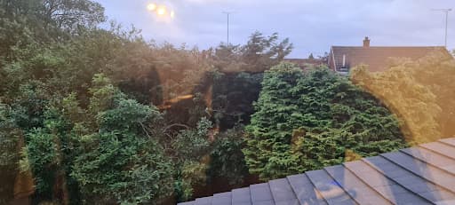 nttrees — Customer photo