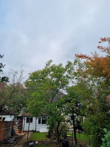 J and Son Trees and Landscapes — Customer photo