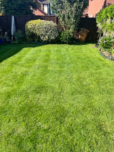 Cherished Lawn Care — Customer photo