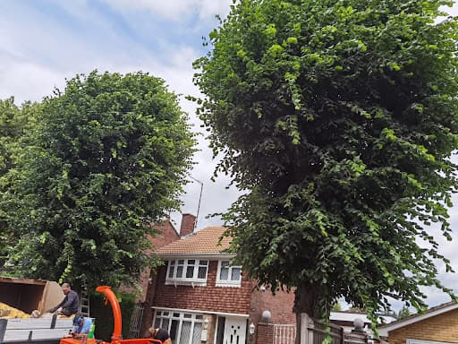 Down to Earth Tree Services — Customer photo