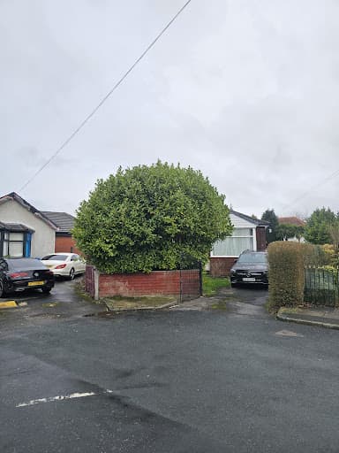 Woodfelder Tree Care Limited — Customer photo