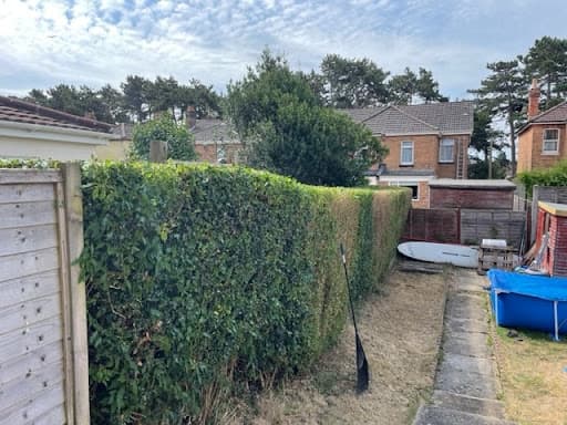 Tree Solutions — Customer photo