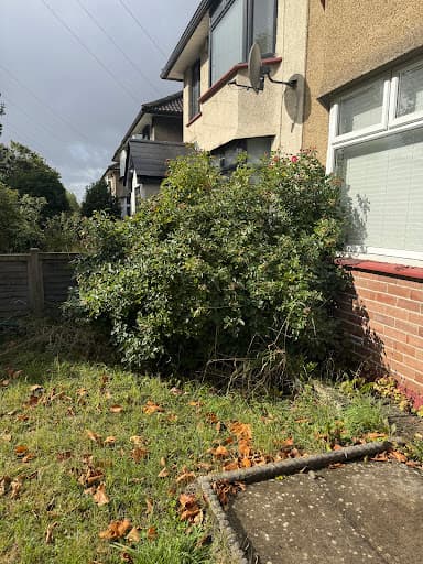 Tidy Gardeners Bristol — Customer photo