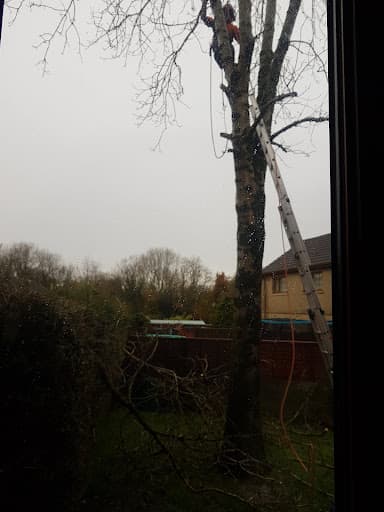 Gower Tree Work Specialists Ltd — Customer photo