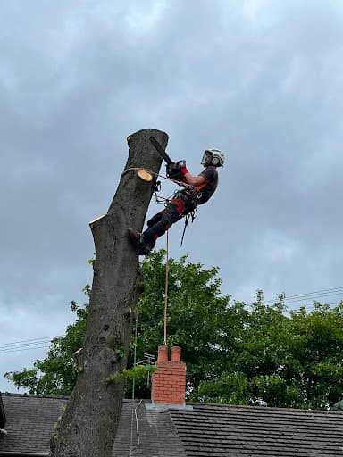 Woodfelder Tree Care Limited — Customer photo