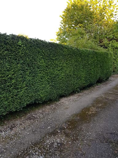 Herring Trees & Landscaping — Customer photo