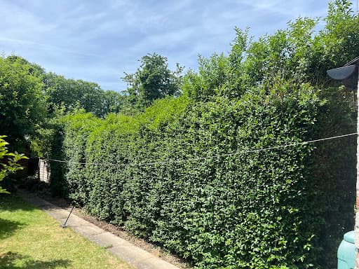 Monet Tree Care Ltd — Customer photo