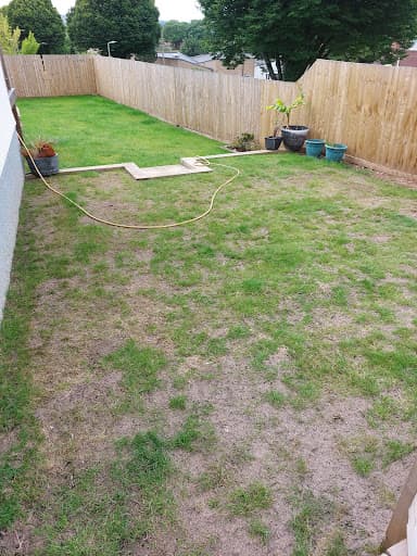 Lawn & Weed Expert - Lawn Care Services — Customer photo
