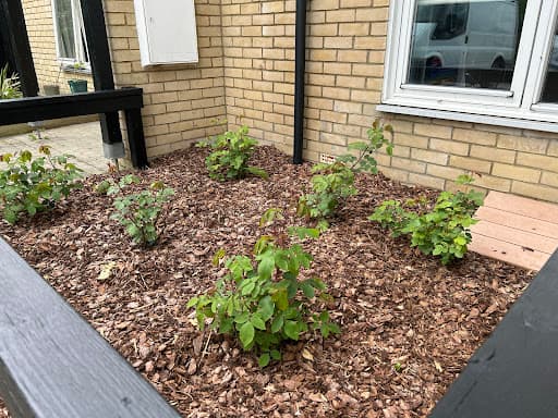 Edds lawn and gardening services — Customer photo